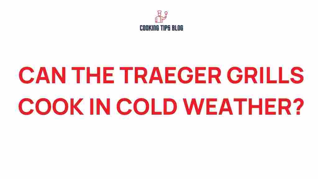 can-traeger-grills-cook-in-cold-weather