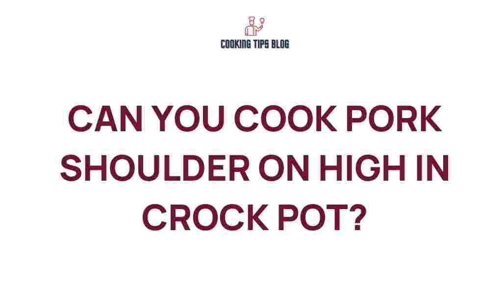 cooking-pork-shoulder-high-crock-pot