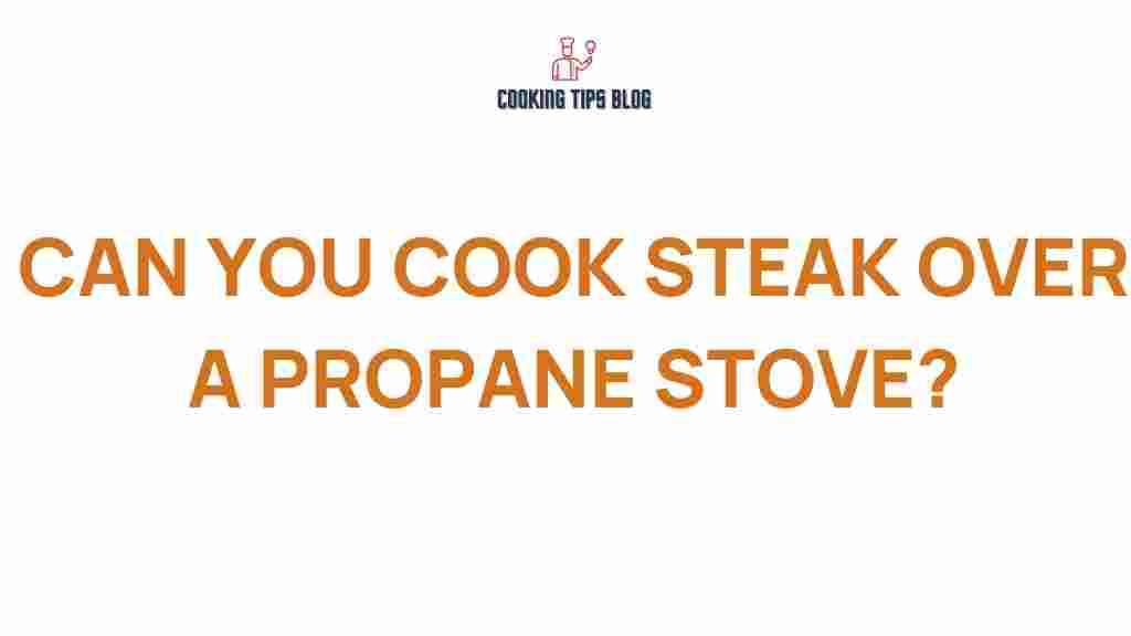 cook-steak-propane-stove