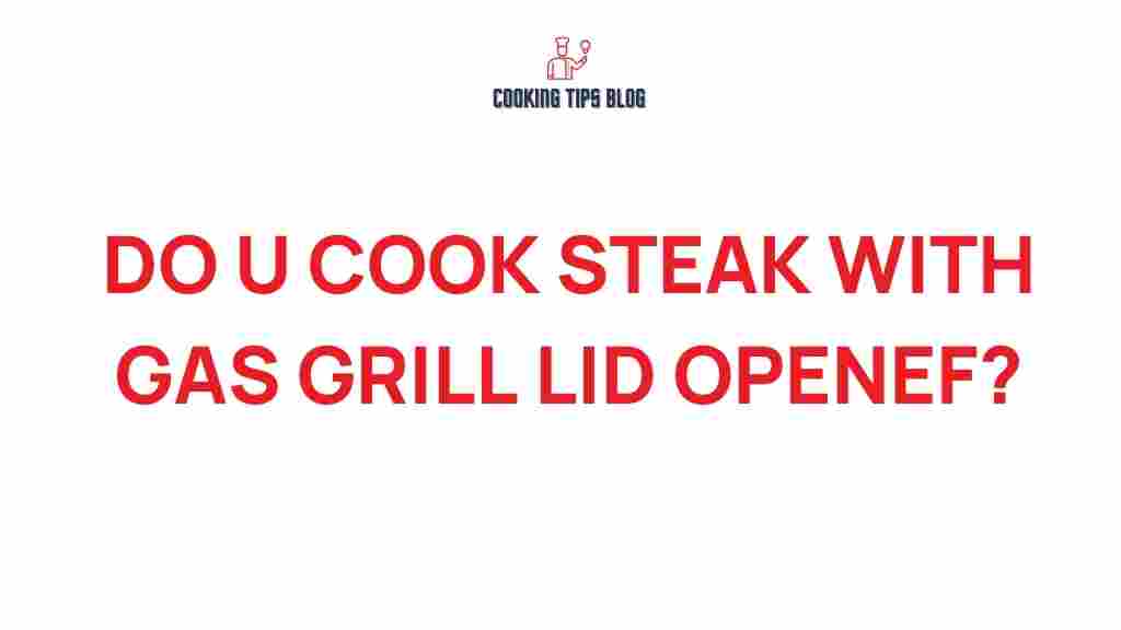 gas-grill-steak-lid-open
