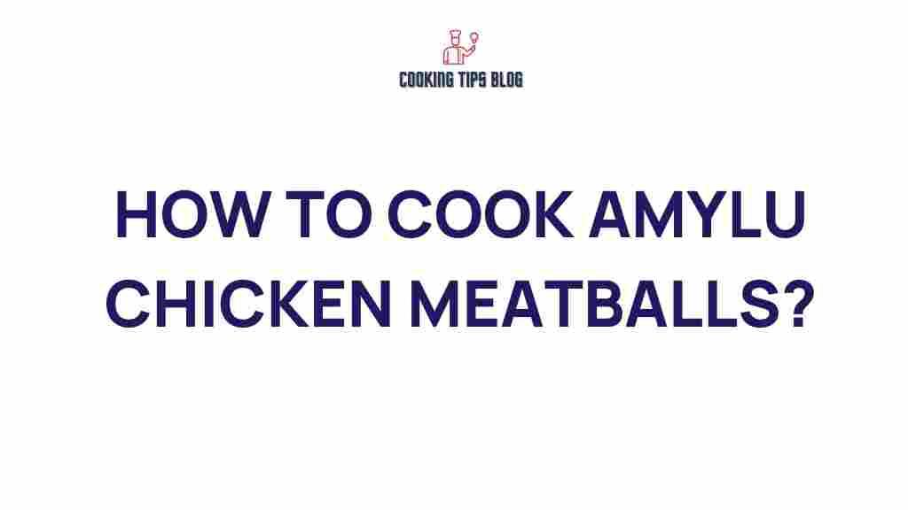 amylu-chicken-meatballs-cooking-tips